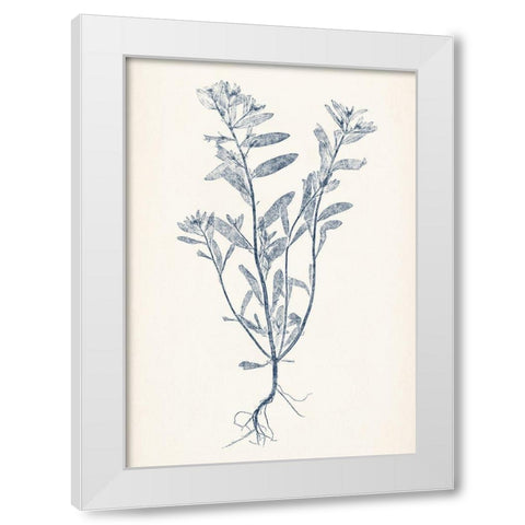 Navy Botanicals II White Modern Wood Framed Art Print by Vision Studio