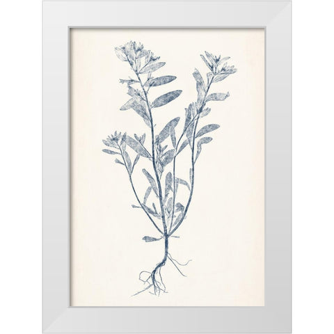 Navy Botanicals II White Modern Wood Framed Art Print by Vision Studio