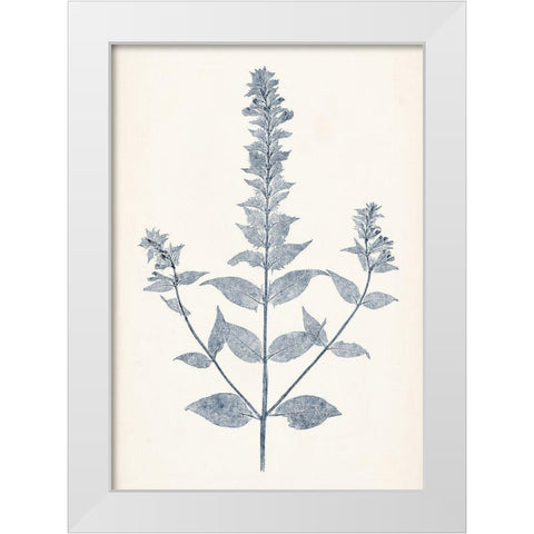 Navy Botanicals VII White Modern Wood Framed Art Print by Vision Studio