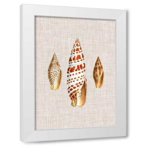 Antique Shells on Linen I White Modern Wood Framed Art Print by Vision Studio