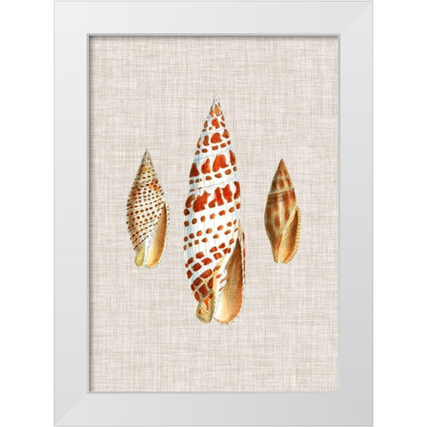 Antique Shells on Linen I White Modern Wood Framed Art Print by Vision Studio