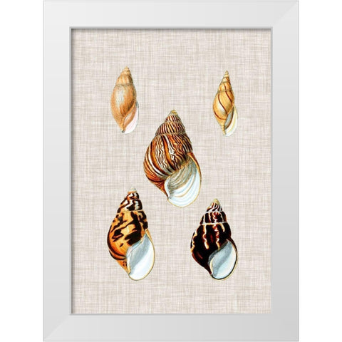 Antique Shells on Linen II White Modern Wood Framed Art Print by Vision Studio