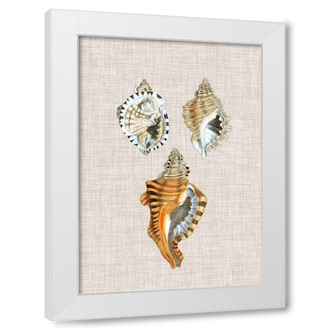 Antique Shells on Linen III White Modern Wood Framed Art Print by Vision Studio