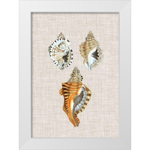 Antique Shells on Linen III White Modern Wood Framed Art Print by Vision Studio