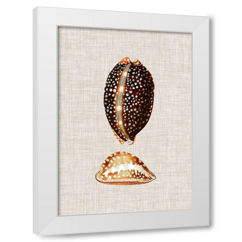 Antique Shells on Linen IV White Modern Wood Framed Art Print by Vision Studio