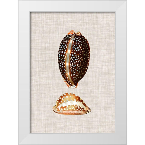 Antique Shells on Linen IV White Modern Wood Framed Art Print by Vision Studio