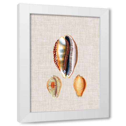 Antique Shells on Linen V White Modern Wood Framed Art Print by Vision Studio