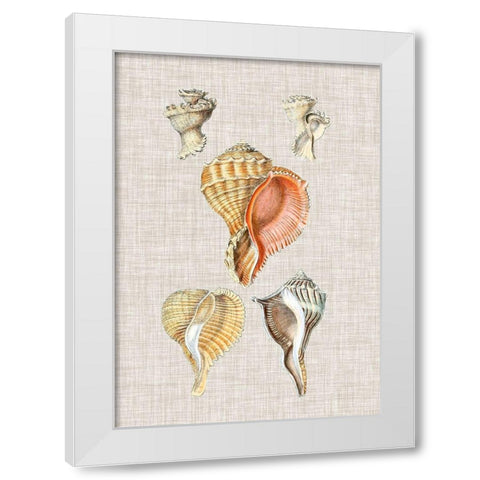 Antique Shells on Linen VI White Modern Wood Framed Art Print by Vision Studio