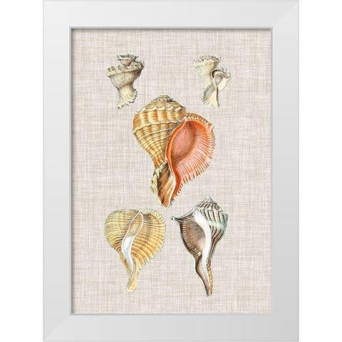 Antique Shells on Linen VI White Modern Wood Framed Art Print by Vision Studio