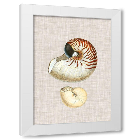 Antique Shells on Linen VII White Modern Wood Framed Art Print by Vision Studio