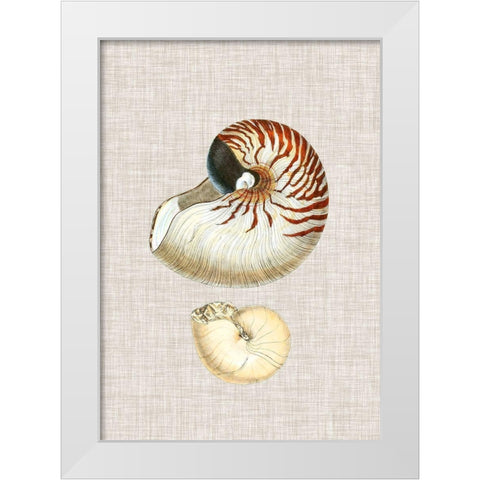 Antique Shells on Linen VII White Modern Wood Framed Art Print by Vision Studio