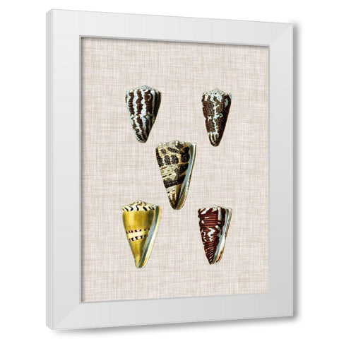 Antique Shells on Linen VIII White Modern Wood Framed Art Print by Vision Studio