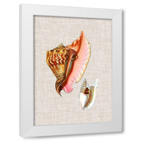 Antique Shells on Linen IX White Modern Wood Framed Art Print by Vision Studio