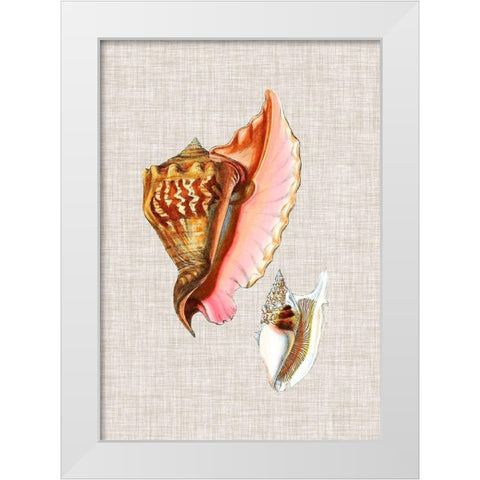 Antique Shells on Linen IX White Modern Wood Framed Art Print by Vision Studio