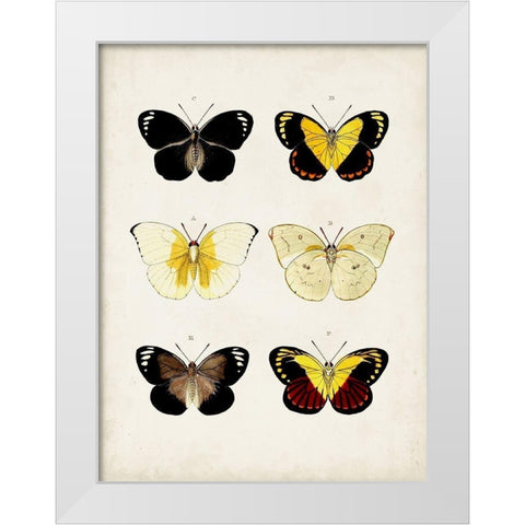 Vintage Butterflies I White Modern Wood Framed Art Print by Vision Studio