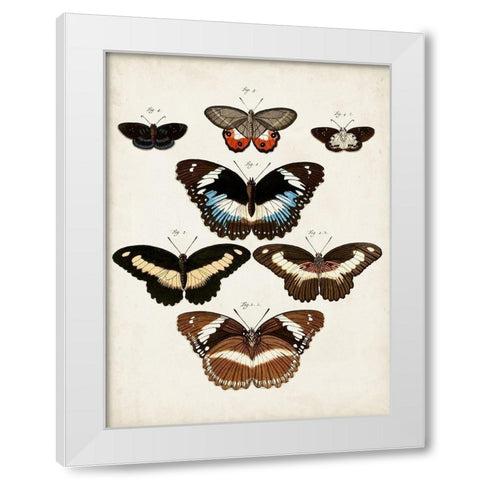 Vintage Butterflies II White Modern Wood Framed Art Print by Vision Studio