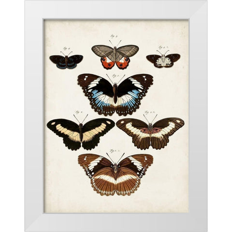 Vintage Butterflies II White Modern Wood Framed Art Print by Vision Studio