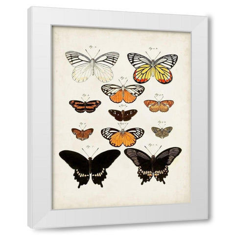 Vintage Butterflies III White Modern Wood Framed Art Print by Vision Studio
