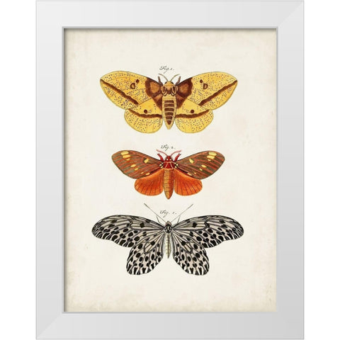Vintage Butterflies IV White Modern Wood Framed Art Print by Vision Studio