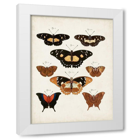 Vintage Butterflies V White Modern Wood Framed Art Print by Vision Studio