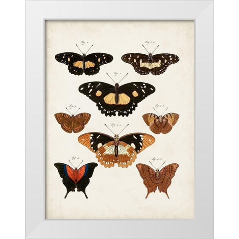 Vintage Butterflies V White Modern Wood Framed Art Print by Vision Studio
