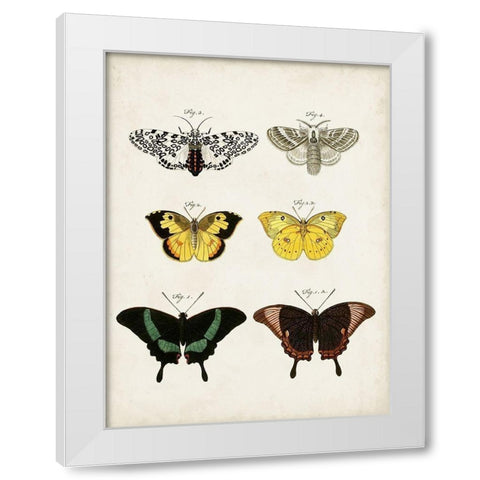 Vintage Butterflies VI White Modern Wood Framed Art Print by Vision Studio