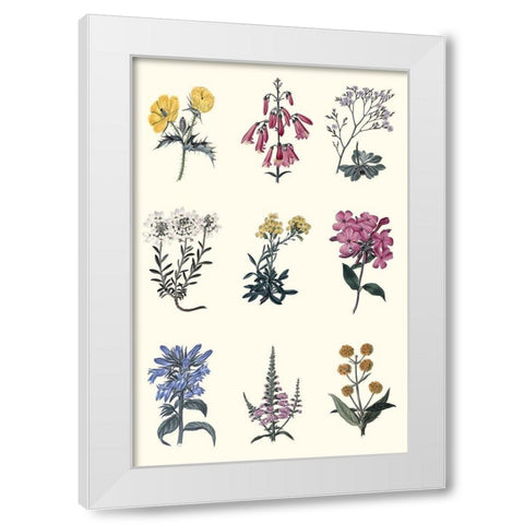 Antique Floral Chart White Modern Wood Framed Art Print by Vision Studio