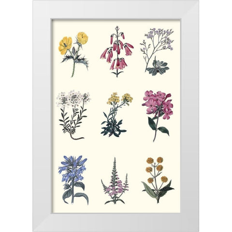 Antique Floral Chart White Modern Wood Framed Art Print by Vision Studio