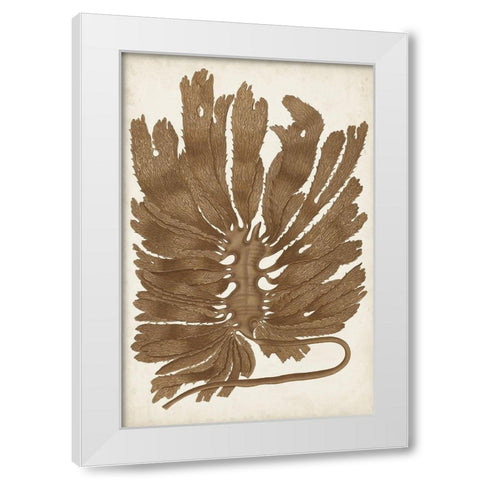 Sepia Seaweed I White Modern Wood Framed Art Print by Vision Studio