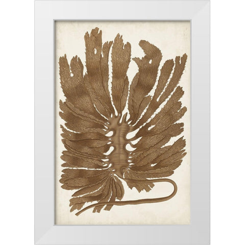 Sepia Seaweed I White Modern Wood Framed Art Print by Vision Studio