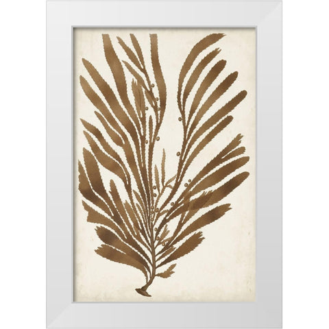 Sepia Seaweed II White Modern Wood Framed Art Print by Vision Studio