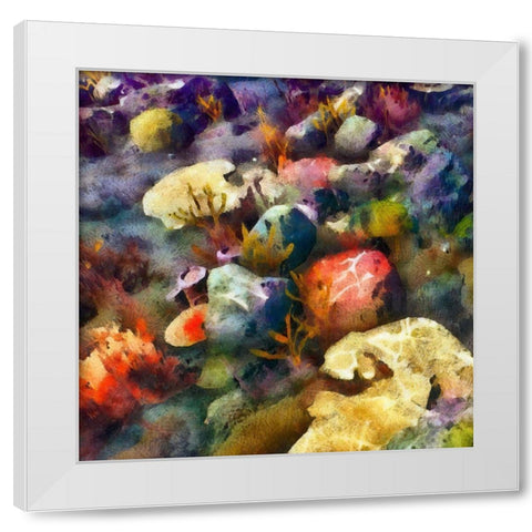 Sea Life III White Modern Wood Framed Art Print by Saunders, Alonzo