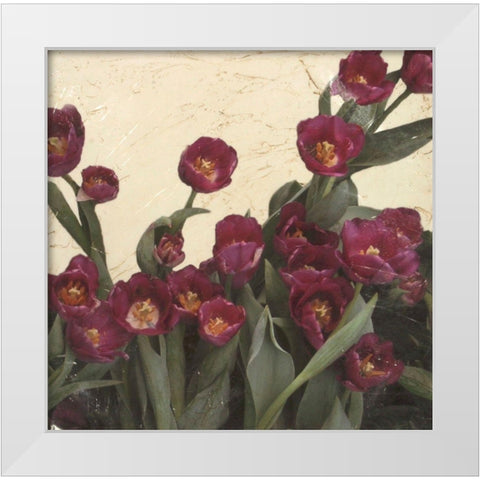 Spring Tulips II White Modern Wood Framed Art Print by Meagher, Megan