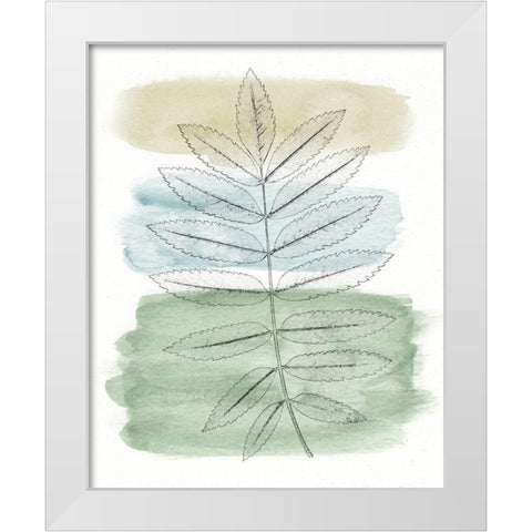 Spring Branch II White Modern Wood Framed Art Print by Saunders, Alonzo