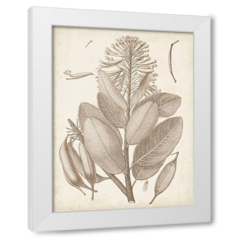 Sepia Exotic Plants I White Modern Wood Framed Art Print by Vision Studio