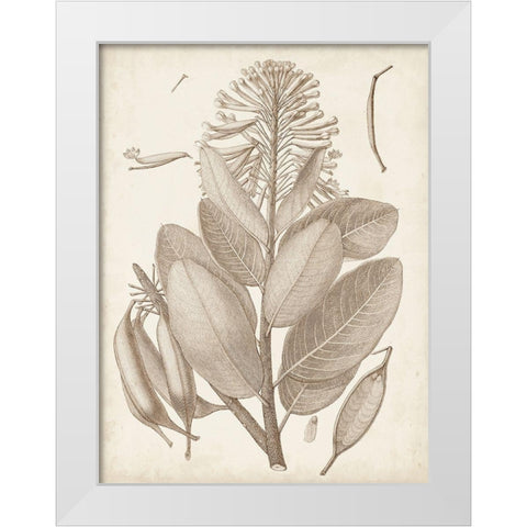 Sepia Exotic Plants I White Modern Wood Framed Art Print by Vision Studio