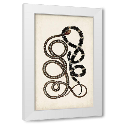 Antique Snakes II White Modern Wood Framed Art Print by Vision Studio