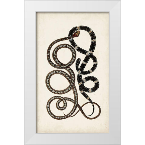 Antique Snakes II White Modern Wood Framed Art Print by Vision Studio