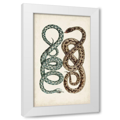 Antique Snakes IV White Modern Wood Framed Art Print by Vision Studio