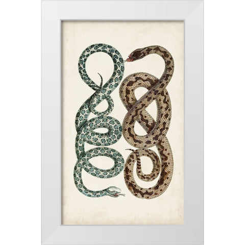 Antique Snakes IV White Modern Wood Framed Art Print by Vision Studio