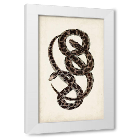 Antique Snakes V White Modern Wood Framed Art Print by Vision Studio