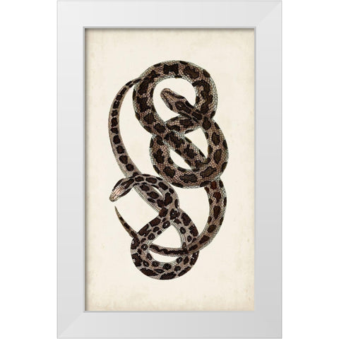 Antique Snakes V White Modern Wood Framed Art Print by Vision Studio