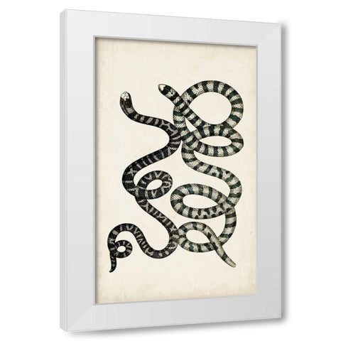 Antique Snakes VI White Modern Wood Framed Art Print by Vision Studio