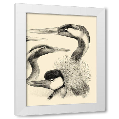 Waterbird Sketchbook I White Modern Wood Framed Art Print by Vision Studio