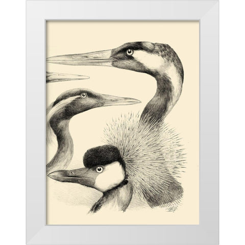 Waterbird Sketchbook I White Modern Wood Framed Art Print by Vision Studio