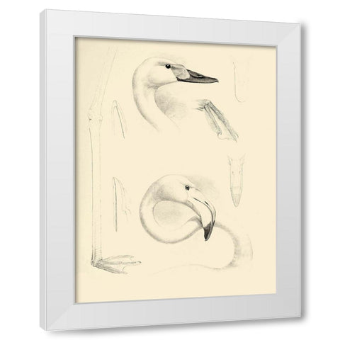 Waterbird Sketchbook II White Modern Wood Framed Art Print by Vision Studio