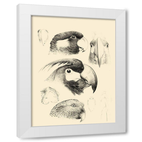 Waterbird Sketchbook III White Modern Wood Framed Art Print by Vision Studio