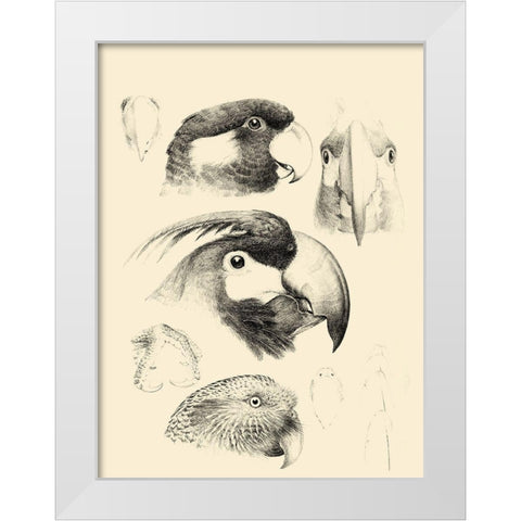 Waterbird Sketchbook III White Modern Wood Framed Art Print by Vision Studio