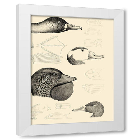 Waterbird Sketchbook IV White Modern Wood Framed Art Print by Vision Studio