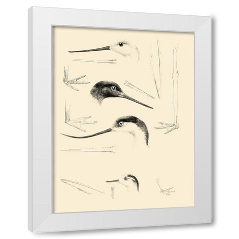 Waterbird Sketchbook V White Modern Wood Framed Art Print by Vision Studio